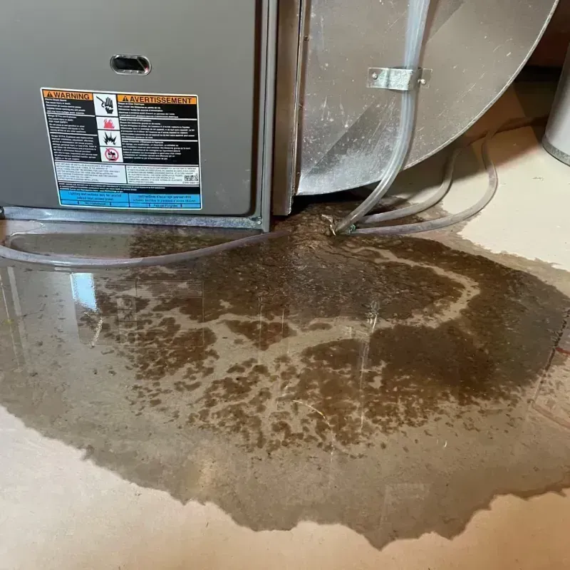 Appliance Leak Cleanup in Fairdale, KY